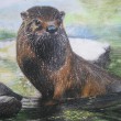 Krafttier Otter